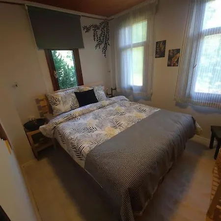 White ספנג'ה