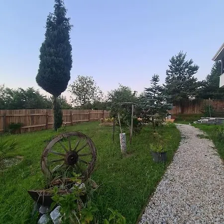 Chalet White Sapanca